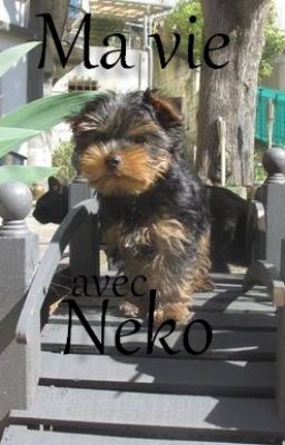 Ma vie avec Neko - Conseils canins et félins