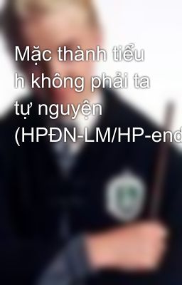 Mặc thành tiểu h không phải ta tự nguyện (HPĐN-LM/HP-end)