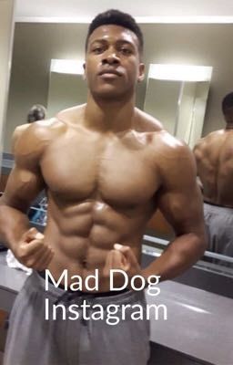 Mad Dog Insta 