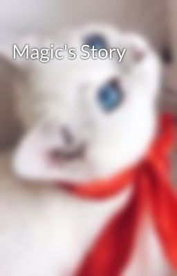 Magic's Story