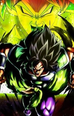 male broly reader x DBS