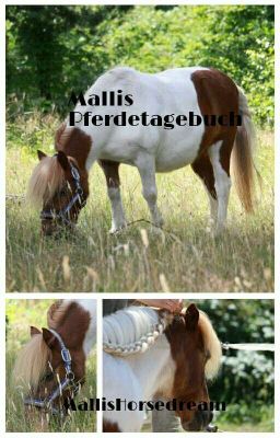 Mallis Pferdetagebuch