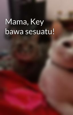 Mama, Key bawa sesuatu!