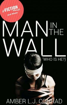 Man in the Wall (Who is he?)