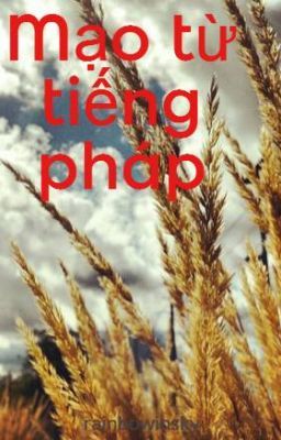 Mạo từ tiếng pháp