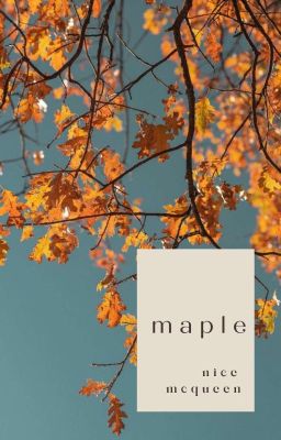 Maple (Sudah Terbit)