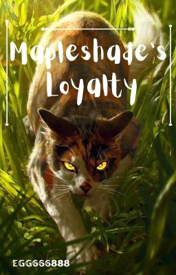 Mapleshade's Loyalty (Warriors Short Story)