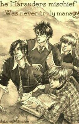 Marauders