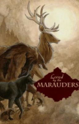 Marauders RP