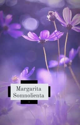 Margarita Somnolienta