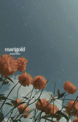 MARIGOLD, james potter