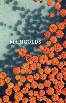 MARIGOLDS ━━━ Meet my OCs