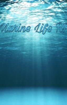 Marine Life RP 