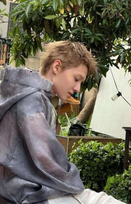 marjames | giáo trình tình yêu cấp tốc