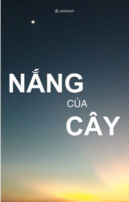 markhyuck ; NẮNG CỦA CÂY