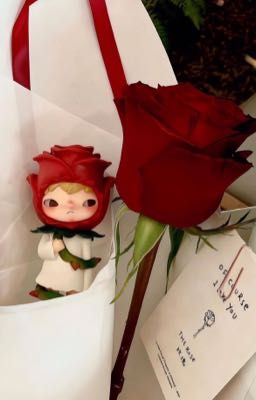 masonb | cá mập con