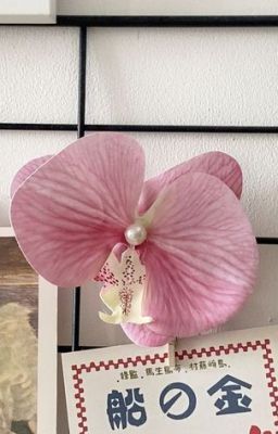 masonb | chíp chíp