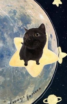 [masonb] xô chậu sầu sâu