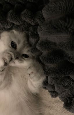 masonlinh; tình cờ