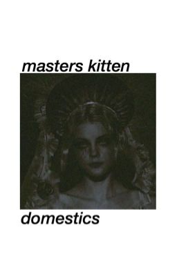 Masters kitten