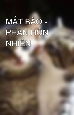 MẮT BÃO - PHAN HỒN NHIÊN