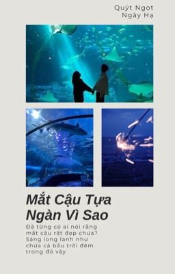 Mắt Cậu Tựa Ngàn Vì Sao