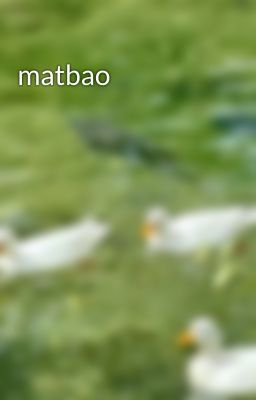 matbao