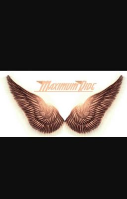 Maximum Ride 