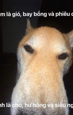 mấy cái short fic tôi viết cho mấy cặp CanonOcCanon nhà mình.