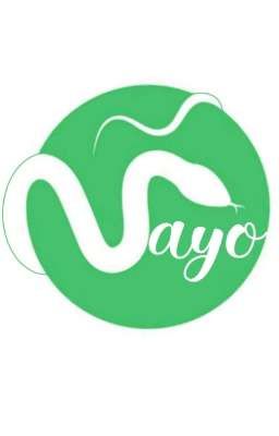 Mayo