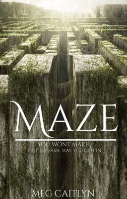 Maze