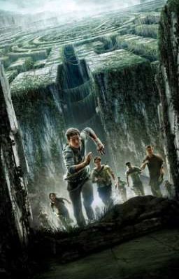 maze runner one shots 