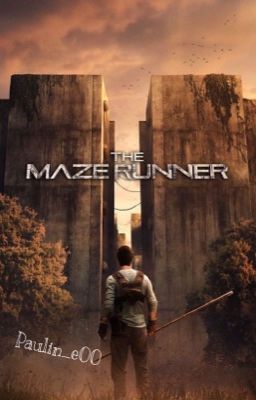 Maze Runner Preferes and imagines 