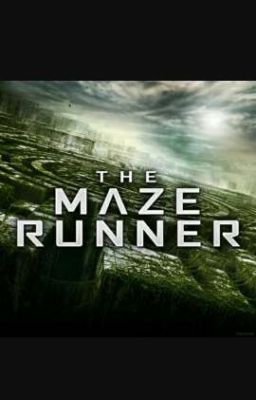 Maze runner revolution: Il labirinto