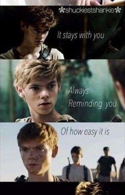 Maze Runner The Girl That Knows Everything