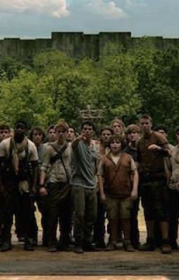 Maze runner x reader