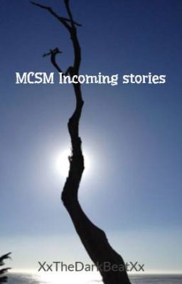 MCSM Incoming stories