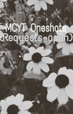 MCYT Oneshots (Requests Open)