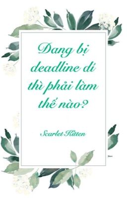 (MĐTS) Đang bị deadline dí thì phải làm thế nào?