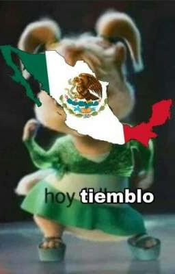 Me Asuste Muy Feo Por Un Temblor