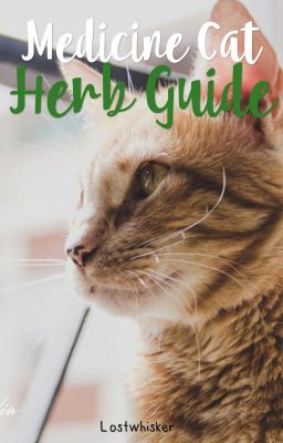 Medicine Cat Herb Guide