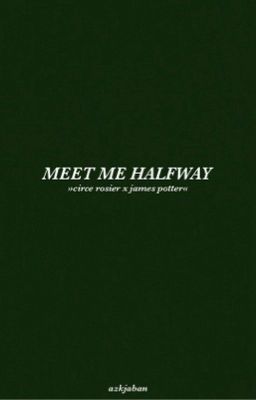 meet me halfway, j. potter