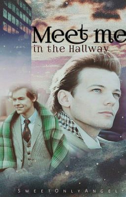 Meet me in the Hallway (Larry Stylinson)