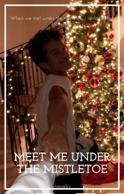 Meet Me Under The Mistletoe | Oikawa Tooru x Reader