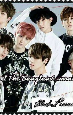 Meet The Bangtan: 6 months