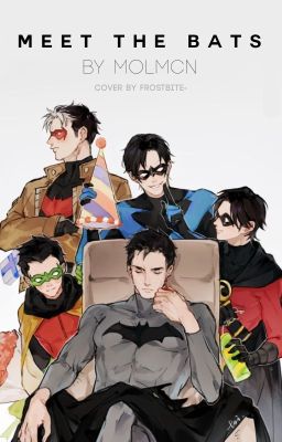 Meet the Bats (A Young Justice/Teen Titans Fan Fiction)