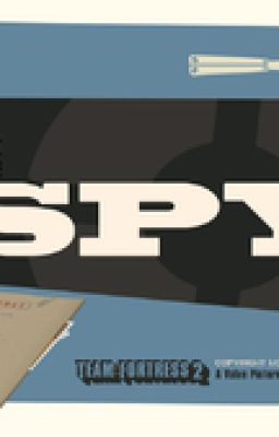 Meet The Spy (Parody)