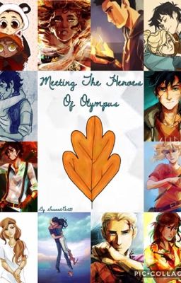 Meeting the Heroes Of Olympus