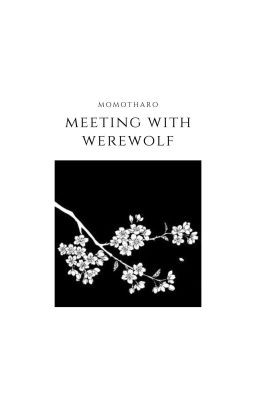 Meeting with Werewolf • Remus Lupin