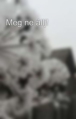 Meg ne állj!